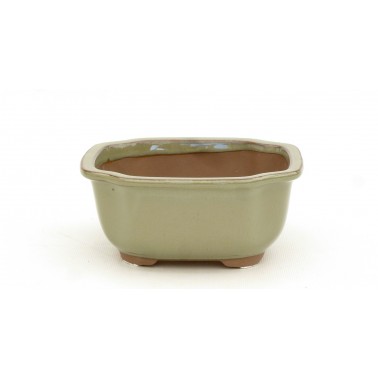 Maceta Bonsái Yokkaichi M19-20B