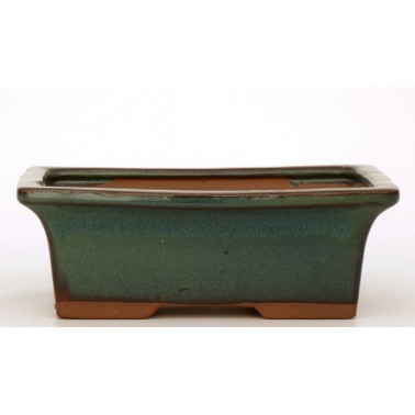 Maceta Bonsái Yixing G090-DMG