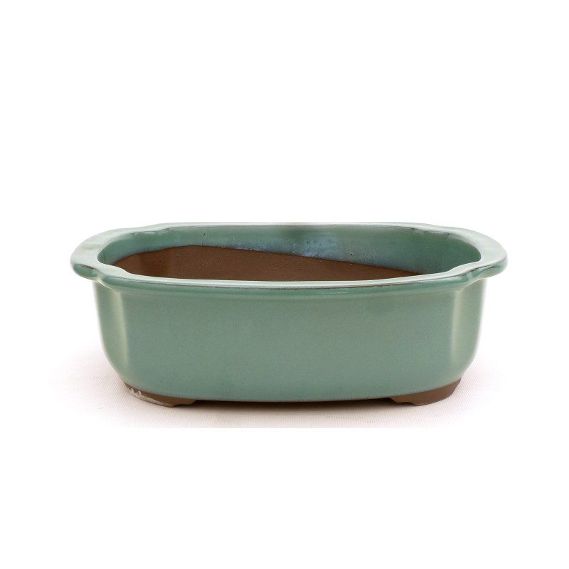 Maceta Bonsái Yokkaichi M29-17B