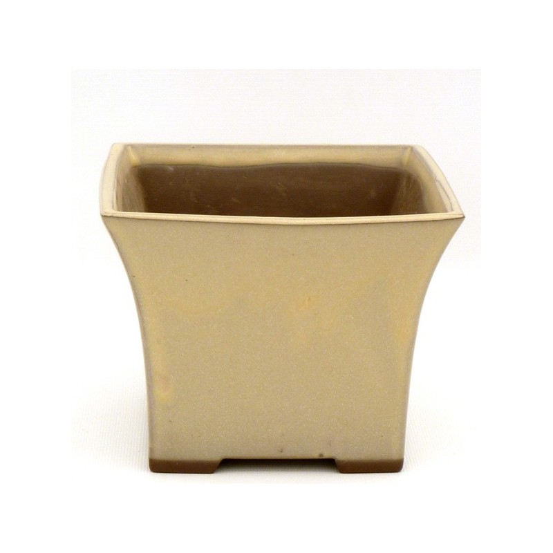 Maceta Bonsái Yokkaichi 1127A