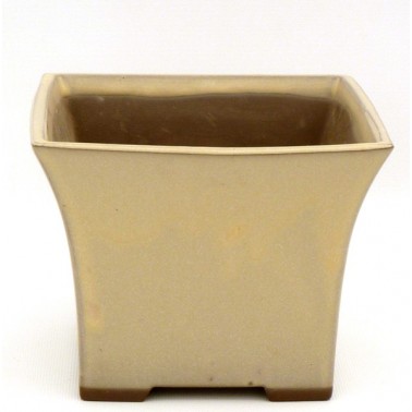 Maceta Bonsái Yokkaichi 1127A