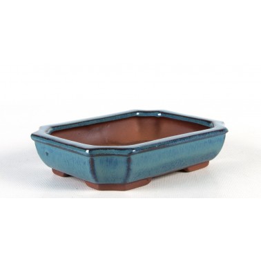 Maceta Bonsái Yixing ECJ-031