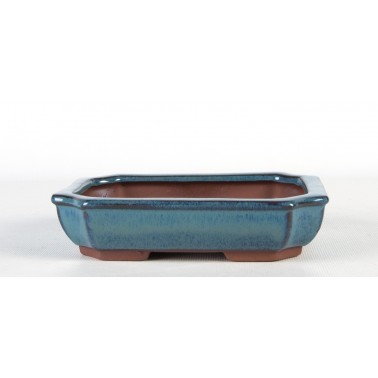 Maceta Bonsái Yixing ECJ-031