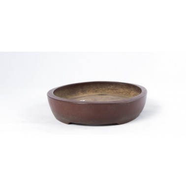 Ancient Bonsai Pot 328