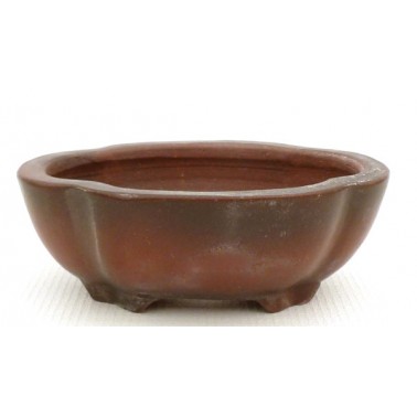 Maceta Bonsái Bigei 10