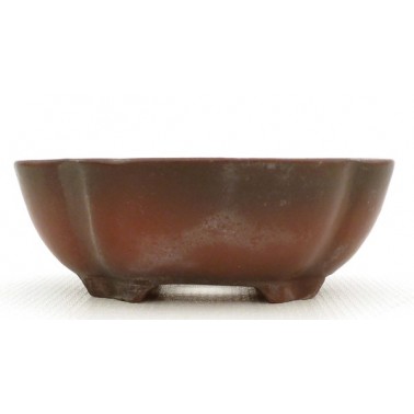 Maceta Bonsái Bigei 10