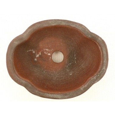 Maceta Bonsái Bigei 10