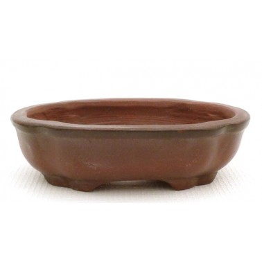 Maceta Bonsái Bigei 11