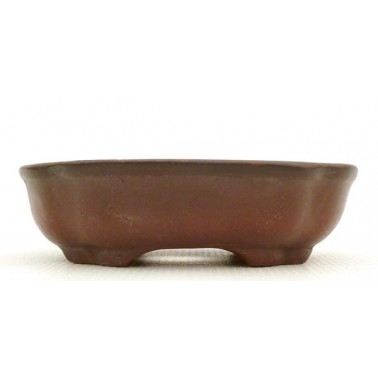 Maceta Bonsái Bigei 11