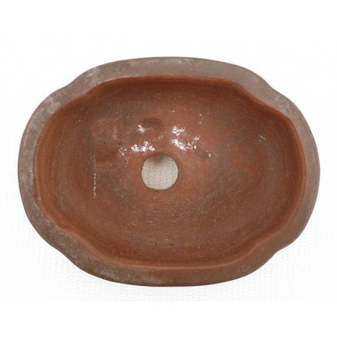 Maceta Bonsái Bigei 11