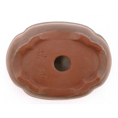 Maceta Bonsái Bigei 11