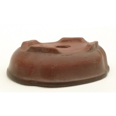 Maceta Bonsái Bigei 11