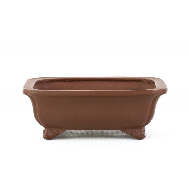 Maceta Bonsái Desconocido 262