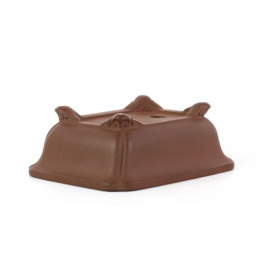 Maceta Bonsái Desconocido 262