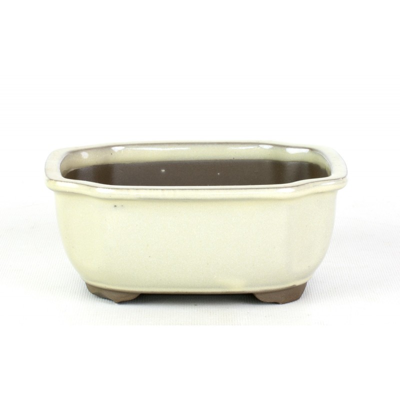 Maceta Bonsái Yokkaichi M19-19B