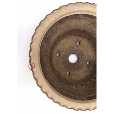 Maceta Bonsái Yamaaki 334