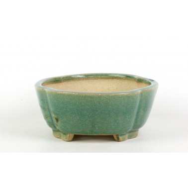 Shibakatsu Bonsai Pot AUT-382