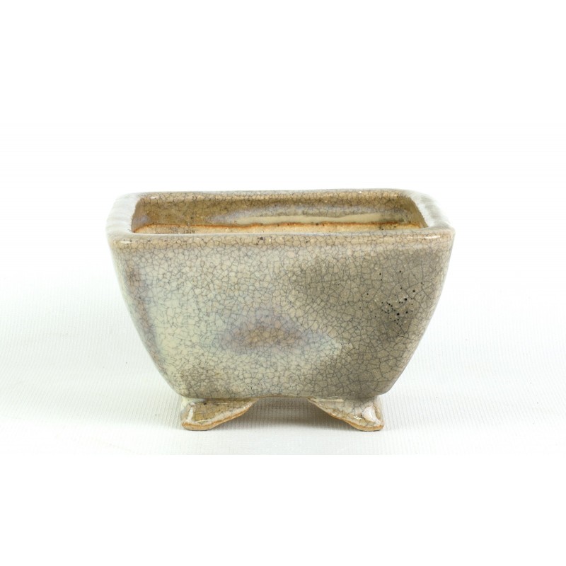 Maceta Bonsái Koyo 398