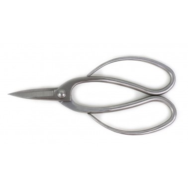 Polished steel Root Scissor 195mm