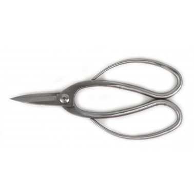 Polished steel Root Scissor 195mm