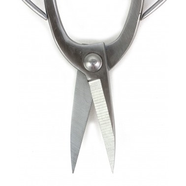 Polished steel Root Scissor 195mm
