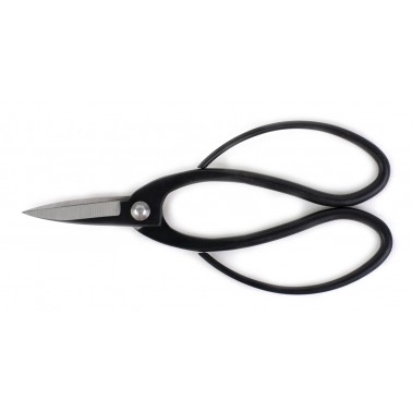 Root Scissor 195mm
