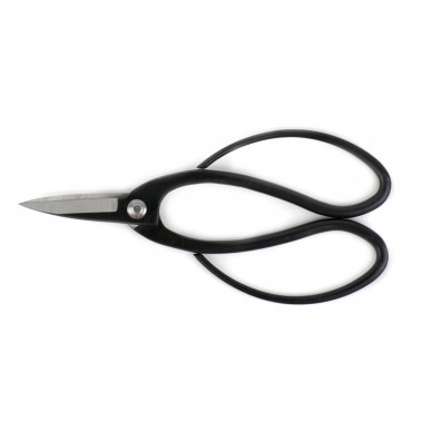 Root Scissor 195mm