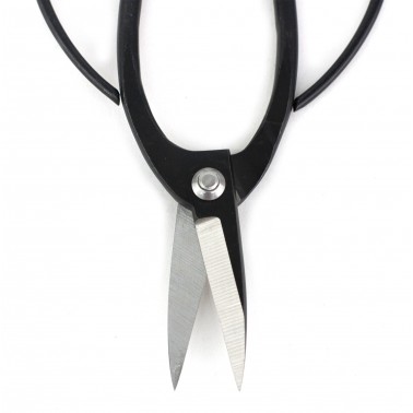 Root Scissor 195mm