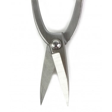 Polished Steel Trimming Shear 200mm