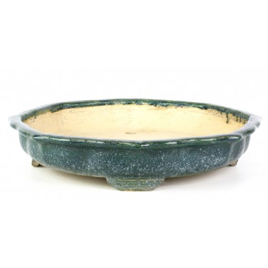 Shuhou Bonsai Pot 430