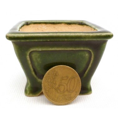 Maceta Bonsái Shibakatsu 23