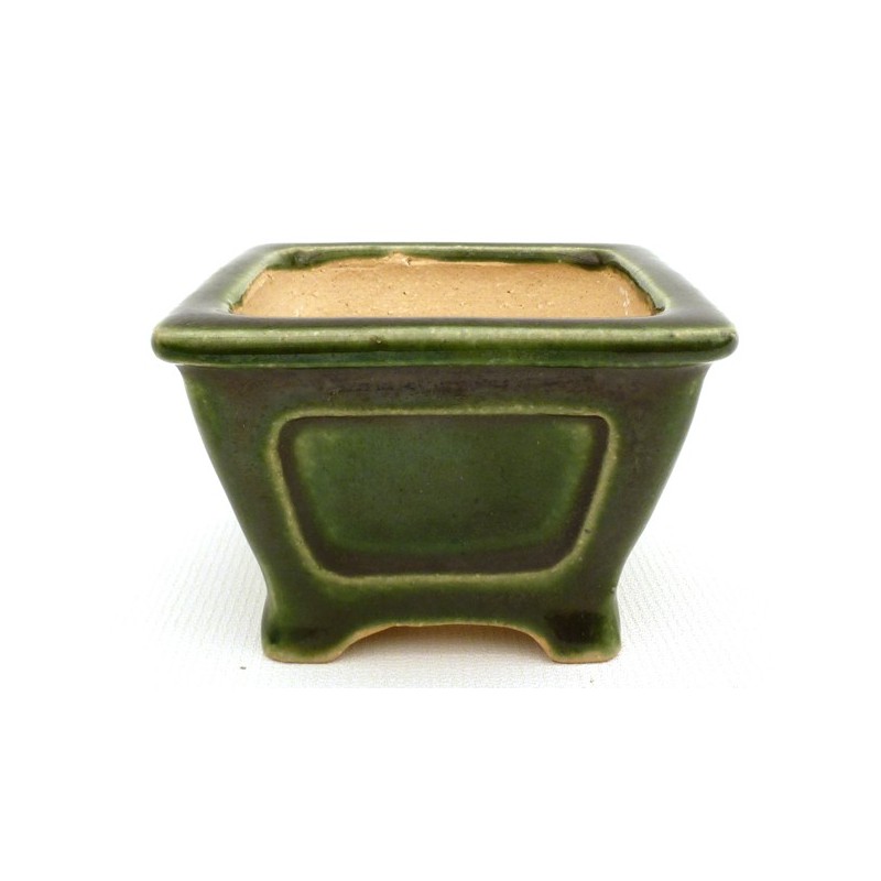 Maceta Bonsái Shibakatsu 23