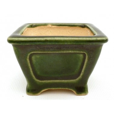 Maceta Bonsái Shibakatsu 23