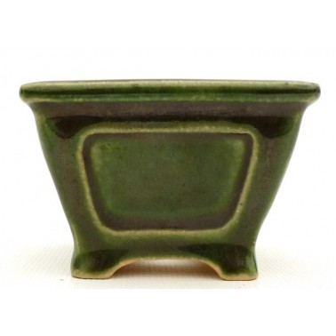 Maceta Bonsái Shibakatsu 23