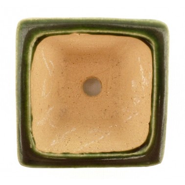 Maceta Bonsái Shibakatsu 23