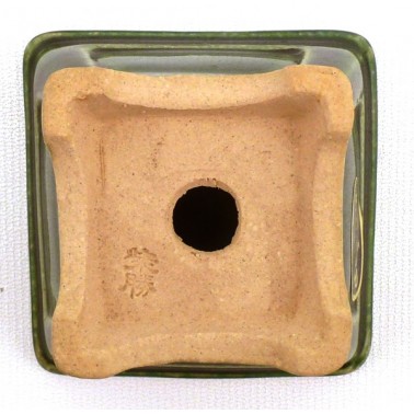 Maceta Bonsái Shibakatsu 23