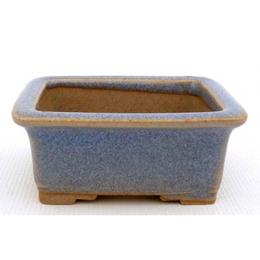 Maceta Bonsái Eimei 38