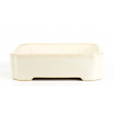 Yixing Bonsai Pot SJ-006