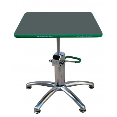 Hydraulic Lift Bonsai Turntable Green-T Basic Square