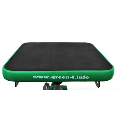Turntable Green-T MiniV