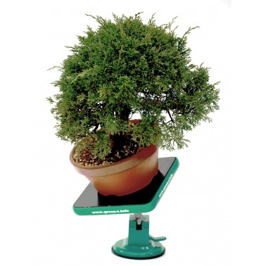 Turntable Green-T MiniS