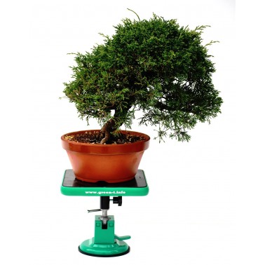 Turntable Green-T MiniS