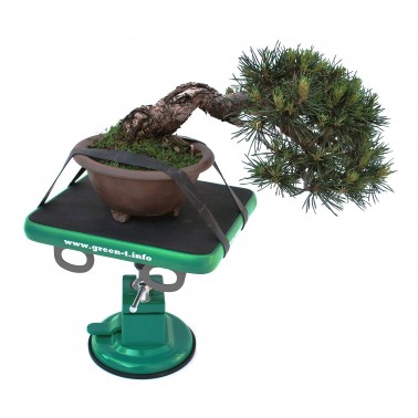 Turntable Green-T MiniS