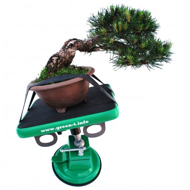 Turntable Green-T MiniS
