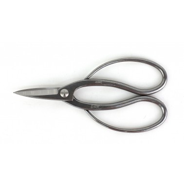 Stainless Steel Root scissors