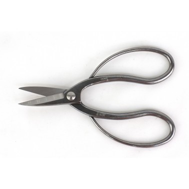 Stainless Steel Root scissors