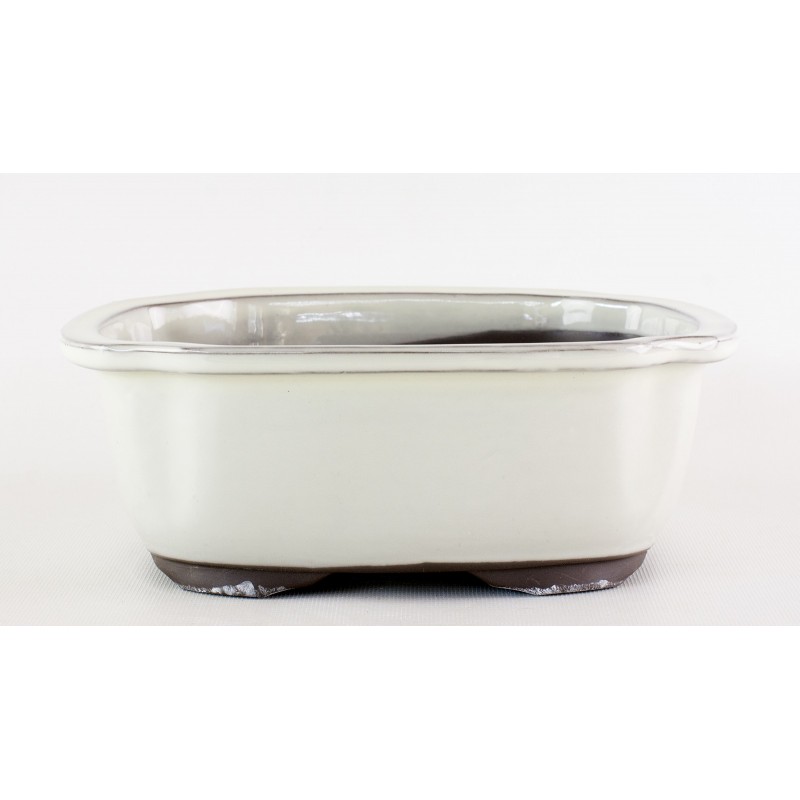 Maceta Bonsái Yokkaichi M29-12A