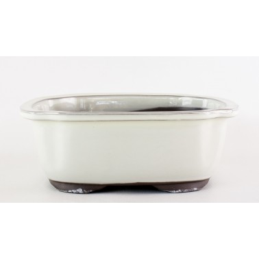 Yokkaichi Bonsai Pot M29-12A