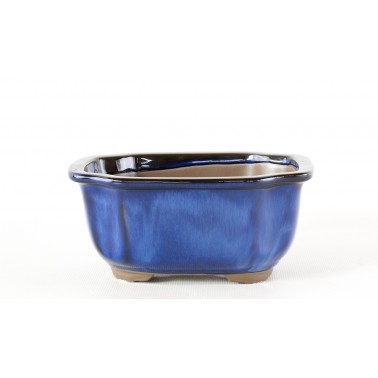 Yokkaichi Bonsai Pot M19-18B