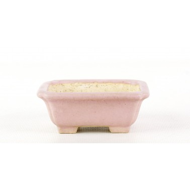 Shibakatsu Bonsai Pot AUT-147